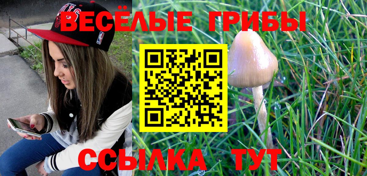 Петропавловск-Камчатский  Псилоцибиновые грибы мухоморы  Вход с VPN 